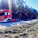 Трейлеры - услуги